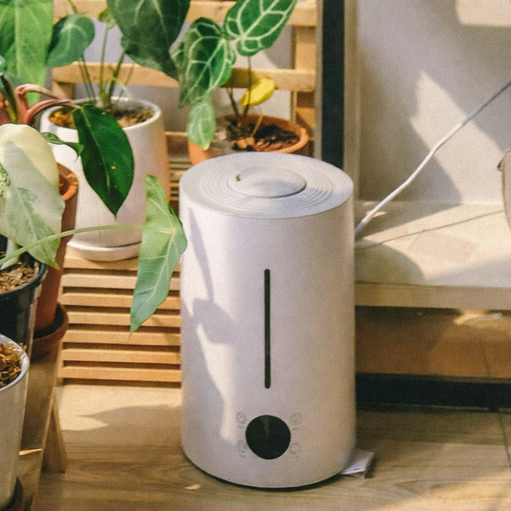 Home air purifier operating near indoor plants to improve air quality