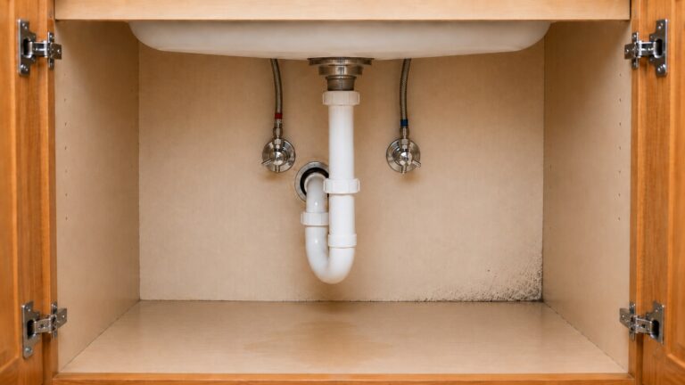 Under-sink kitchen cabinet with centered plumbing, water supply lines, a damp floor stain, and early mold speckling along the back seam.