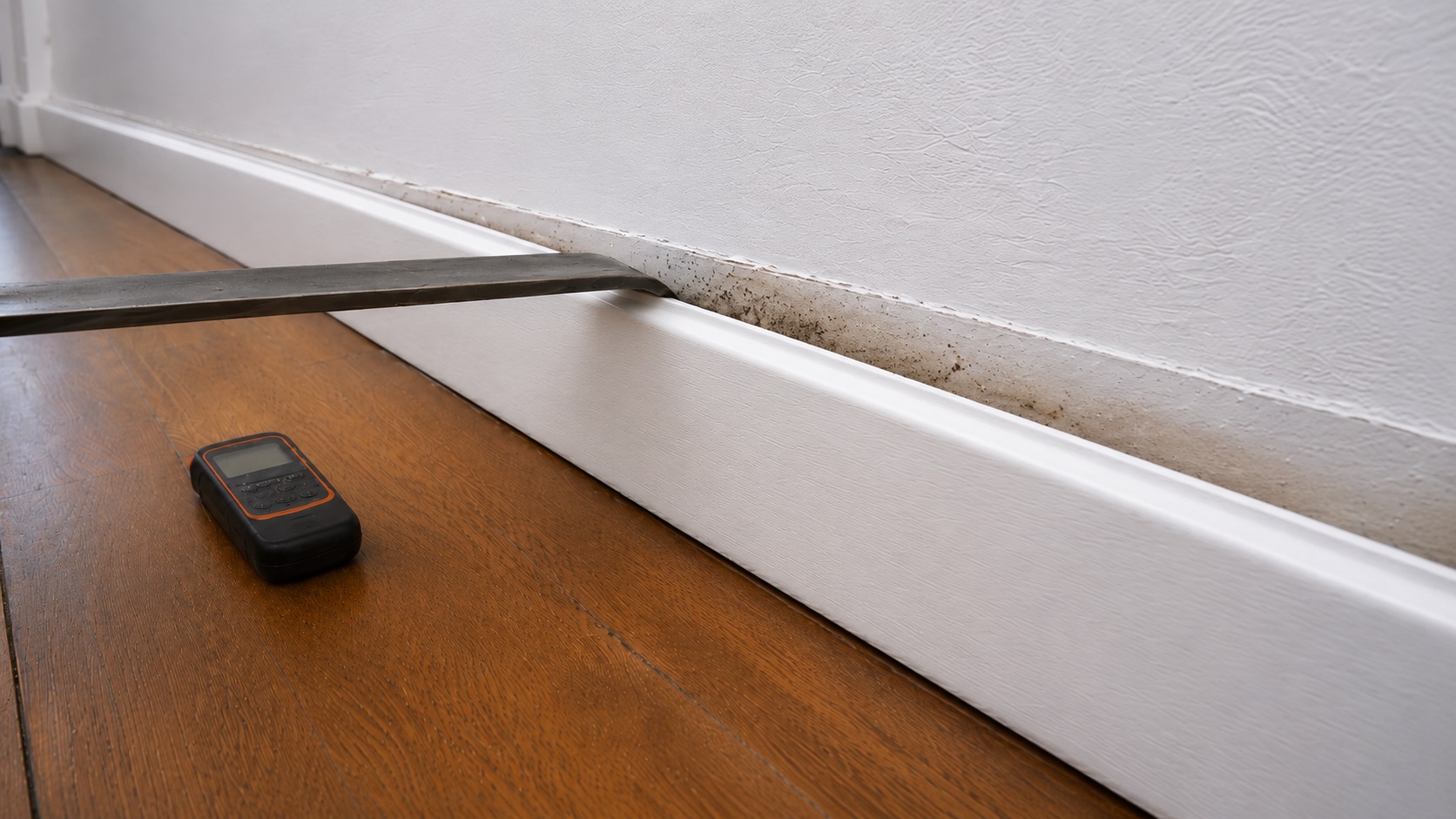 Flat pry bar gently pulling a white baseboard away from the wall to reveal subtle mold staining behind the trim, with a moisture meter on the wood floor.