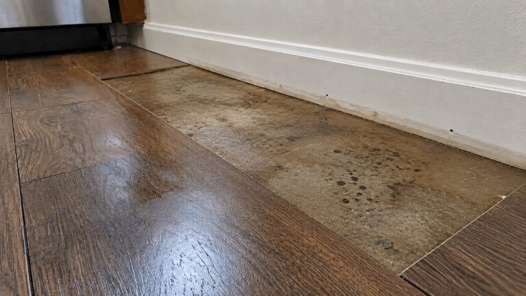Removed flooring plank exposing dark mold-like staining and damp subfloor near a baseboard after water damage.
