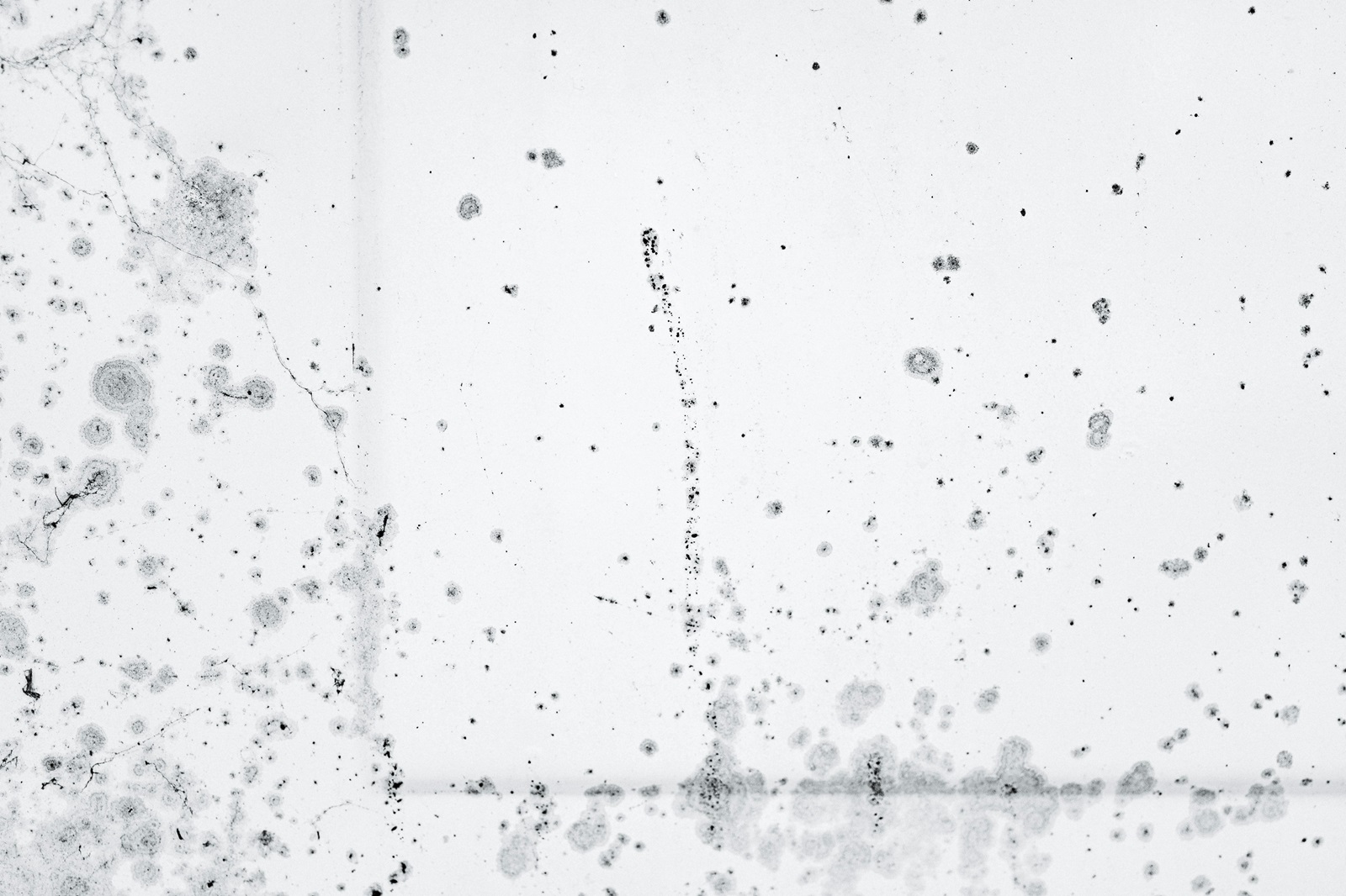 Black mold spots on a painted wall showing surface mold that needs safe cleaning and moisture control