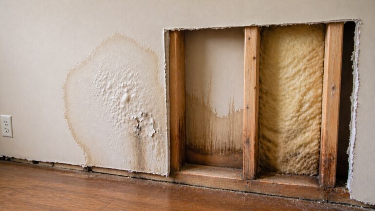 drywall water damage cutaway showing bubbling paint damp insulation and hidden moisture inside wall