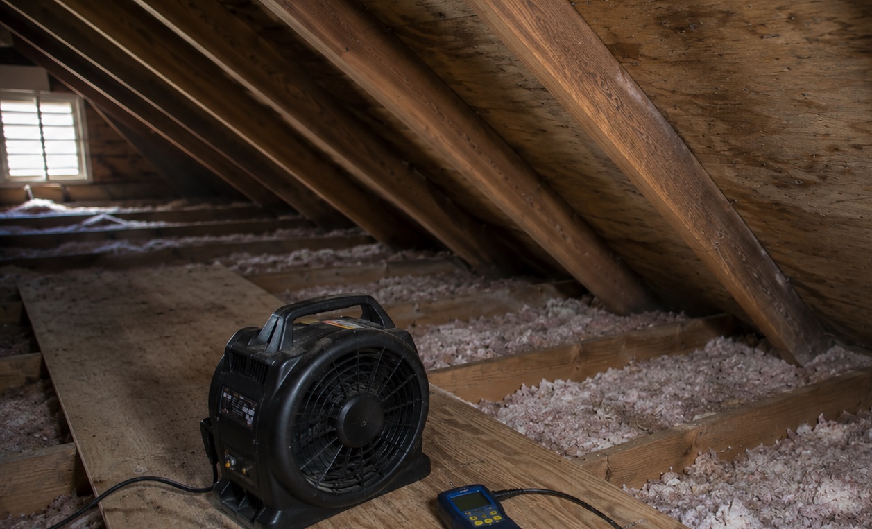 Compact air mover and moisture meter on an attic walkway drying condensation-affected roof sheathing above loose insulation.