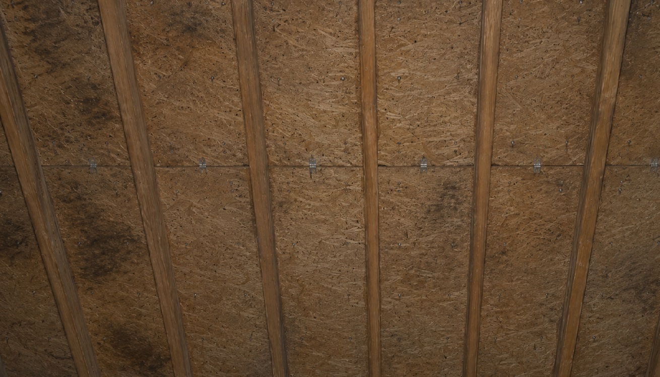 Moisture-stained attic roof rafters and OSB sheathing with exposed nail tips, sheet seams, and H-clips showing signs of recurring condensation.