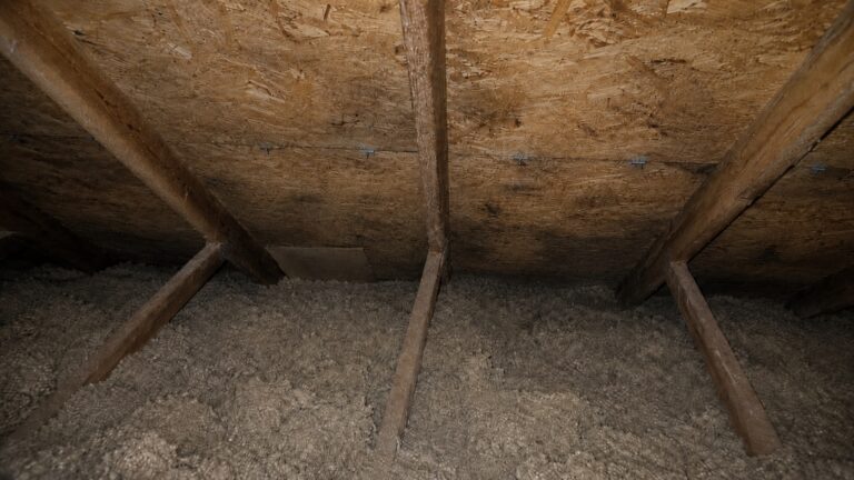 Dim attic with insulation crowding the eave area, early mold speckling on roof sheathing, and exposed rafters showing poor airflow conditions.