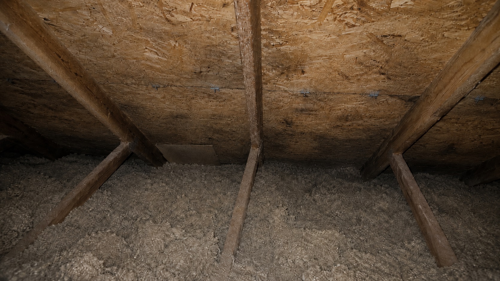 Dim attic with insulation crowding the eave area, early mold speckling on roof sheathing, and exposed rafters showing poor airflow conditions.