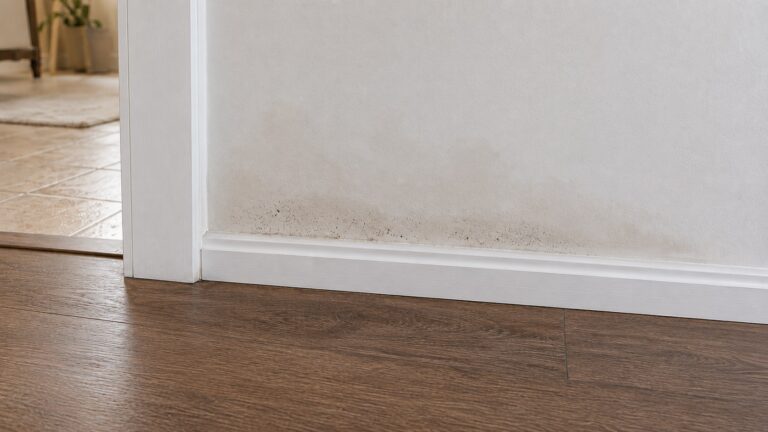 Small mold specks and water stains beginning along a damp baseboard and lower drywall after moisture exposure.