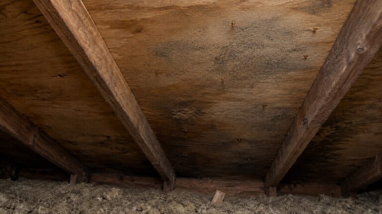 Attic roof sheathing with subtle damp staining, rusted nail tips, and early gray-black mold speckling caused by recurring condensation.