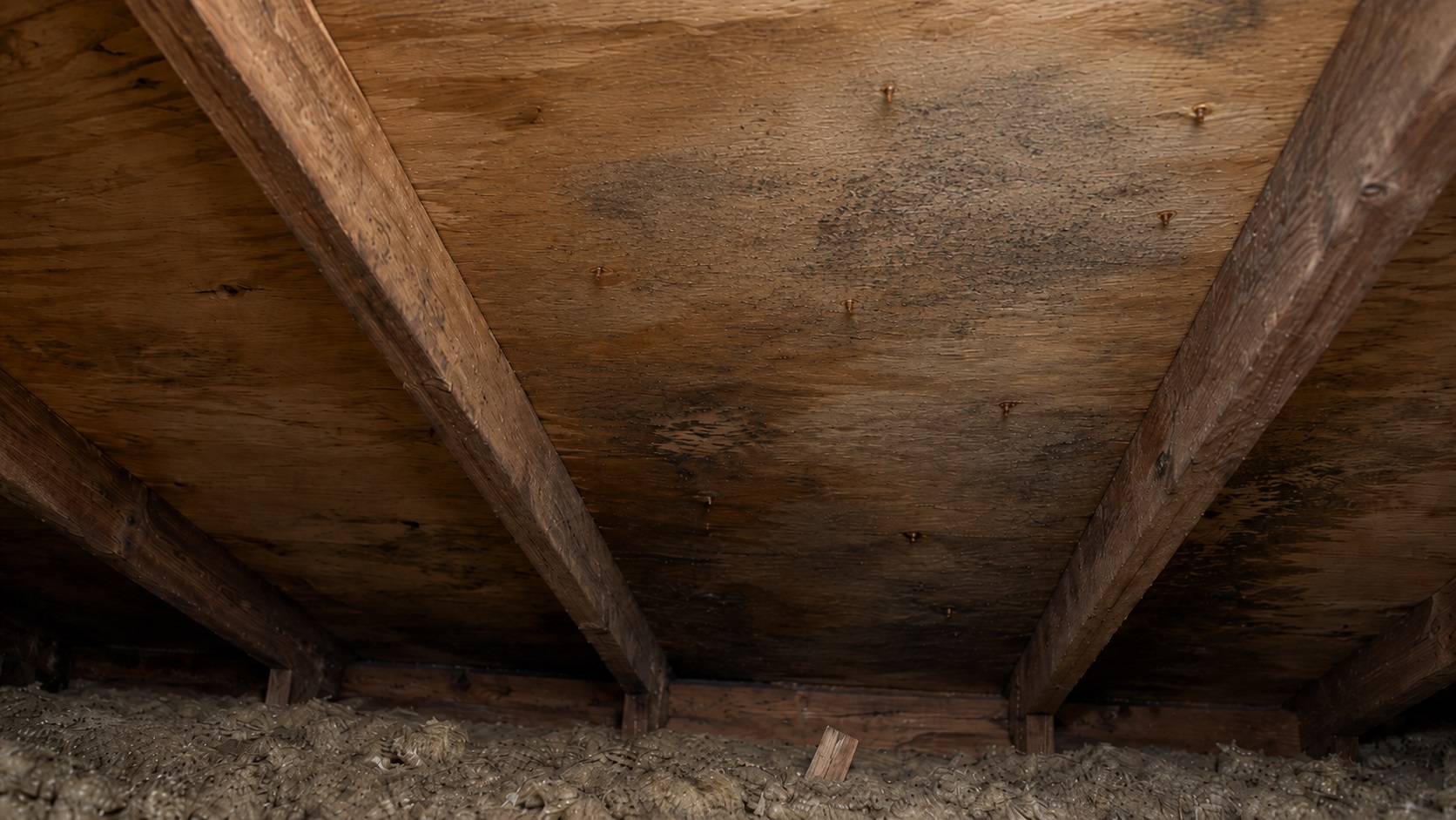 Attic roof sheathing with subtle damp staining, rusted nail tips, and early gray-black mold speckling caused by recurring condensation.