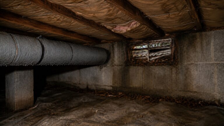 Damp crawl space with a blocked foundation vent, stained block wall, condensation on ductwork, kraft-faced insulation between joists, and a wrinkled vapor barrier.