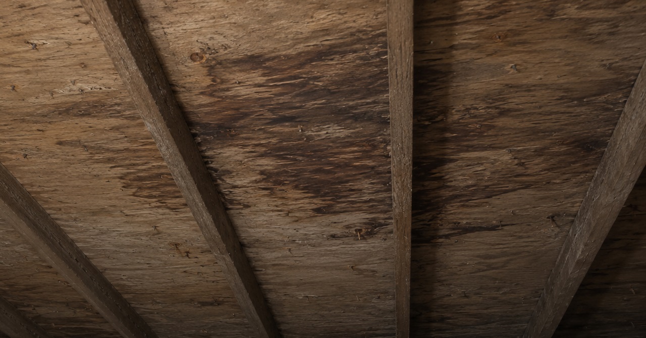 Older attic roof sheathing with dark moisture stains, exposed rafters, roofing nail tips, and settled loose-fill cellulose insulation between joists.