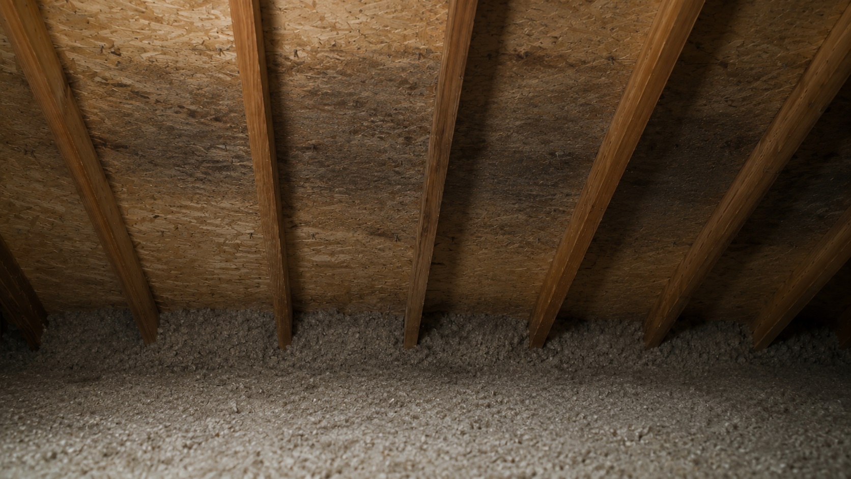 Attic roof sheathing with broad damp staining, visible rafters, and insulation packed near the eaves suggesting poor airflow.