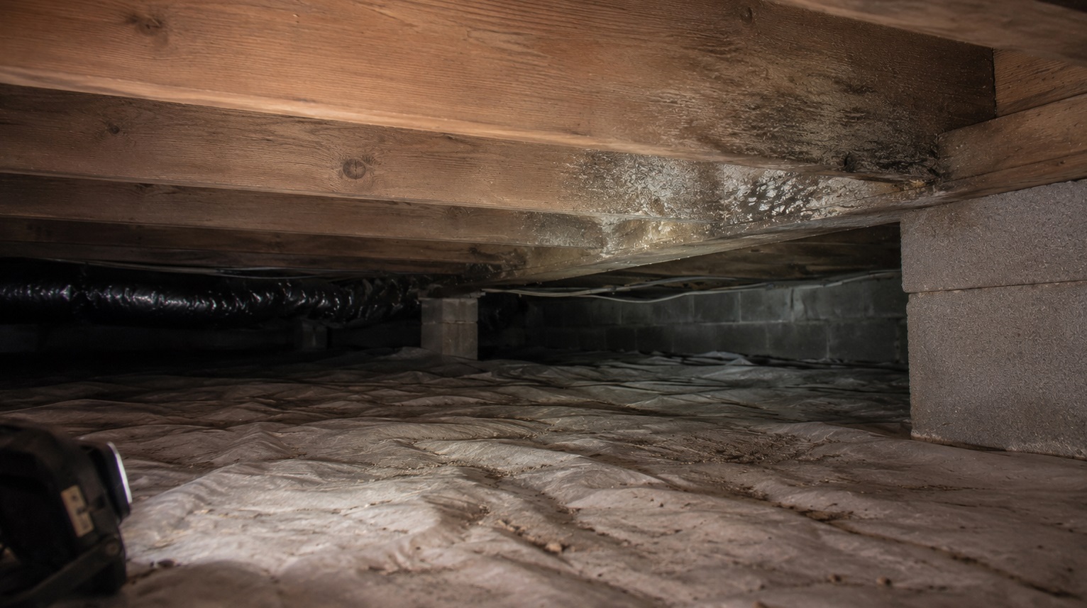 Realistic crawl space inspection showing subtle mold growth and moisture staining on wooden floor joists above a dirty vapor barrier.