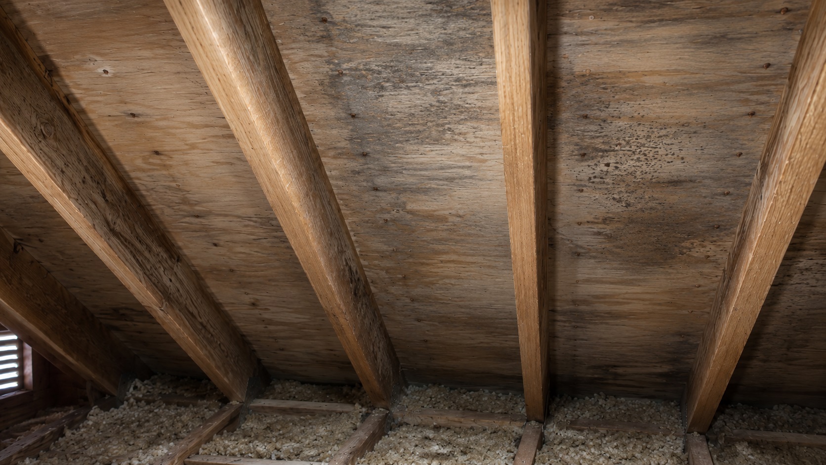 Attic roof sheathing with dull condensation stains, rusted nail tips, and faint early mold speckling between wooden rafters.