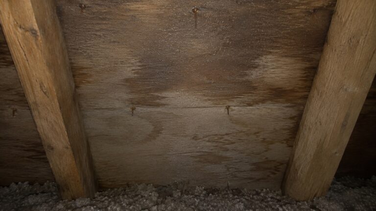 Close-up view of attic roof sheathing between rafters with small condensation droplets, rusted roofing nail tips, damp patches, and insulation below.
