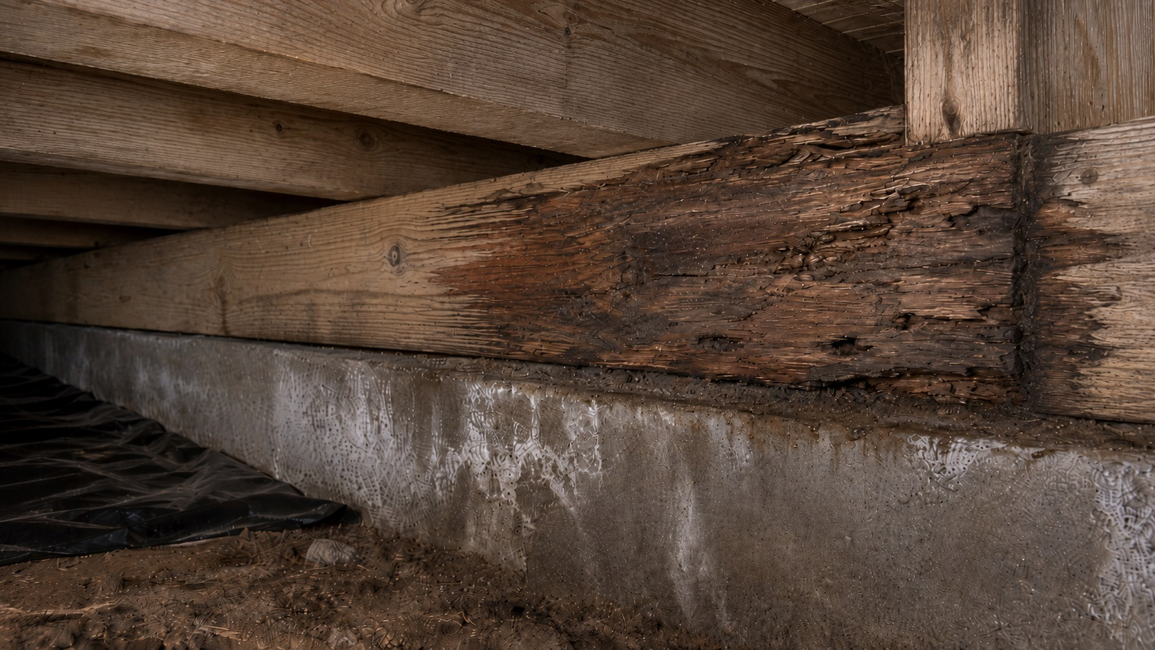 Water-damaged crawl space framing with dark staining, weathered joists, and early wood rot along a foundation wall.