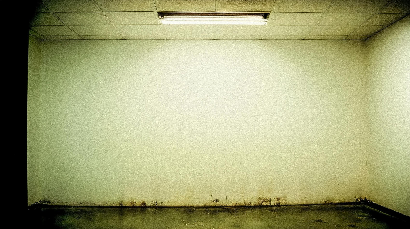 Damp basement room with stained walls and possible mold growth near the ceiling