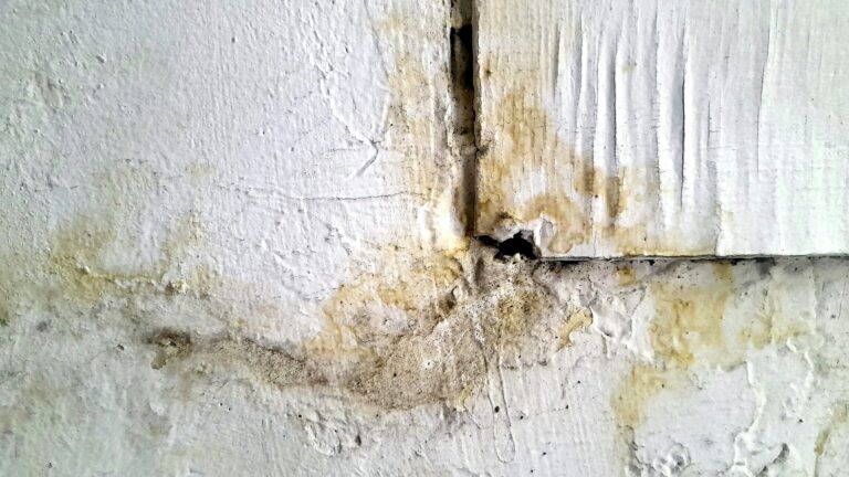 Water damage and staining returning on a repaired wall area, showing signs that moisture may still be present